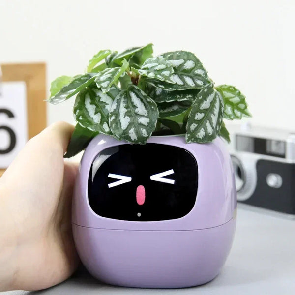 smart pot for plant Small Flower Pot Ivy Desktop Green Plant vase for quіtіa